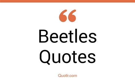 blue beetle quotes|vw beetle quotes.